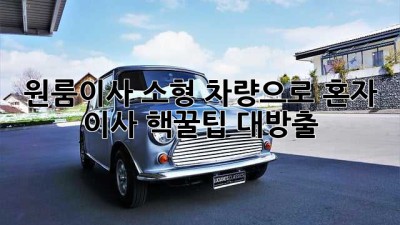 원룸이사🚚 소형 차량으로 혼자 이사? 핵꿀팁🍯 대방출!